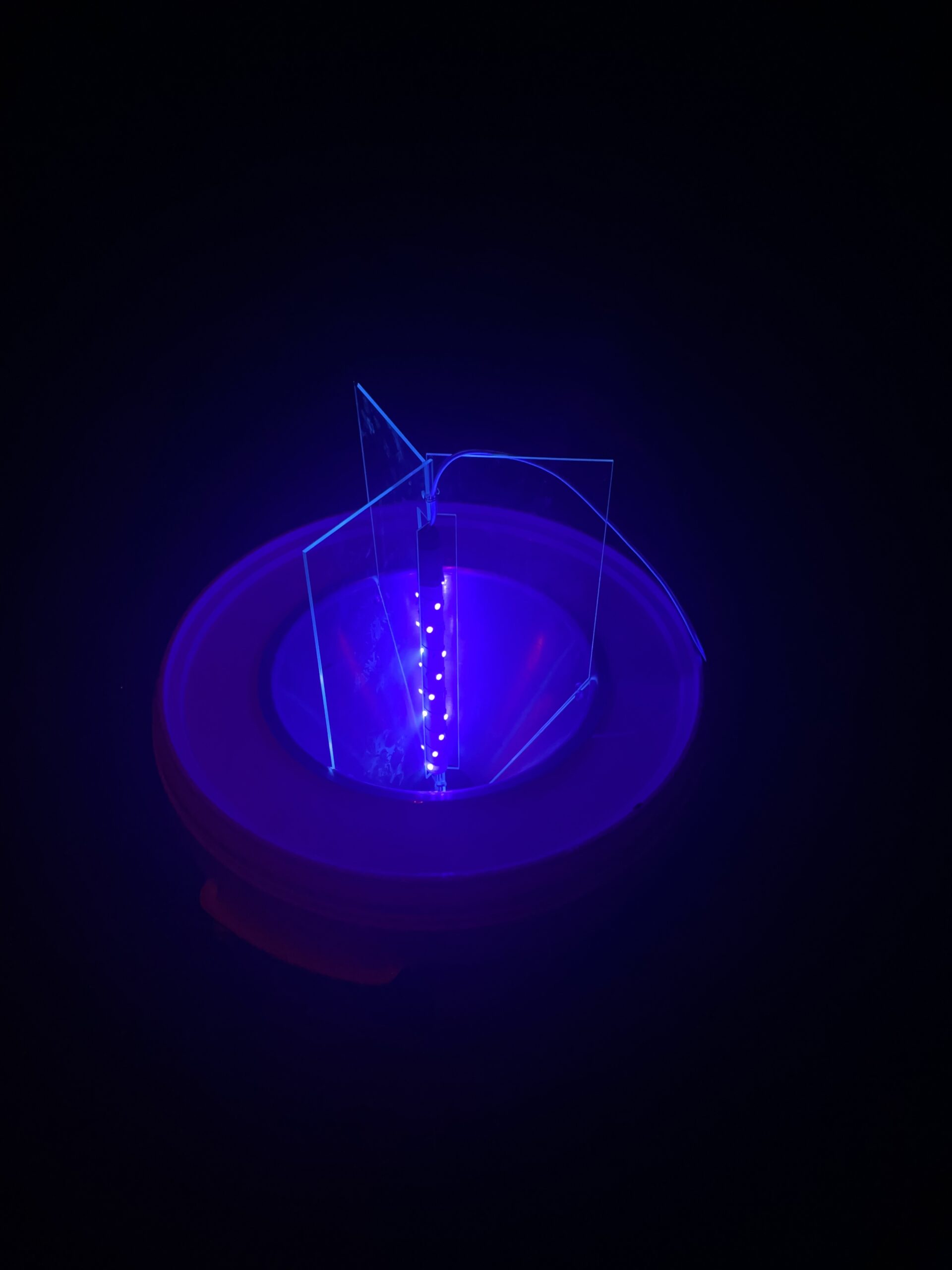Nachtvlinders in LED emmer