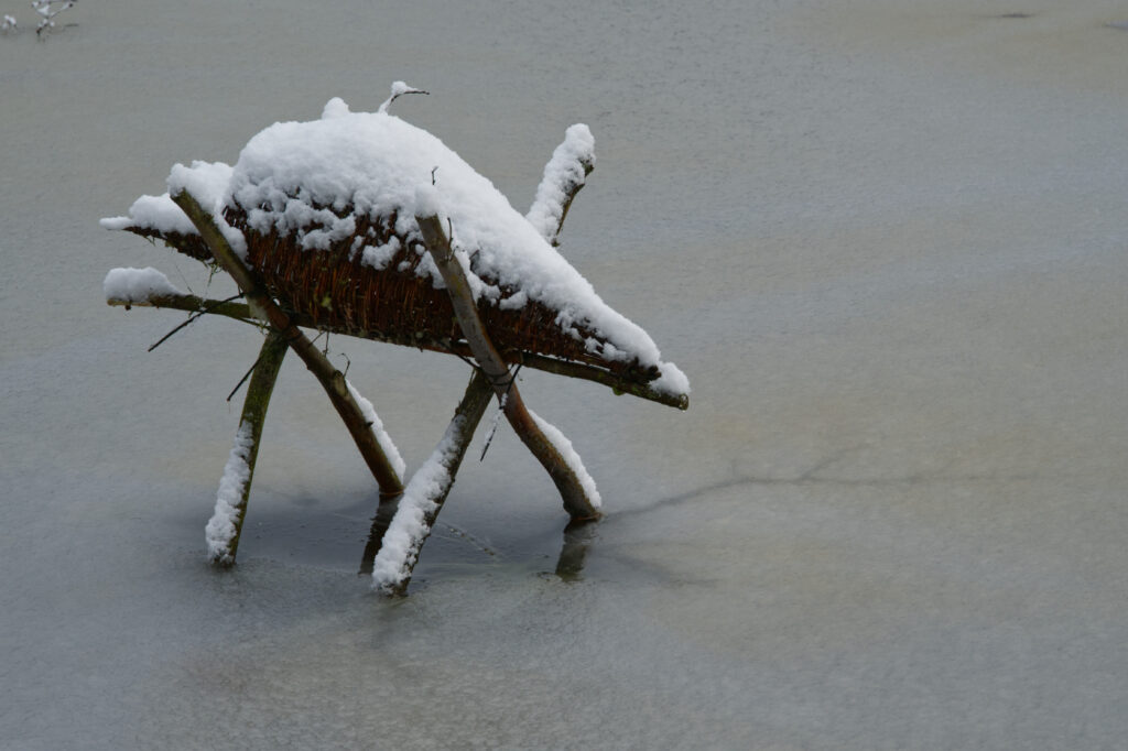 Eendenkorf in ijs en sneeuw